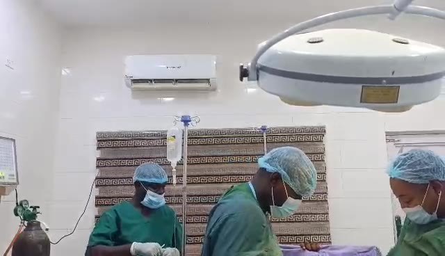Surgical team at work in the operating theatre