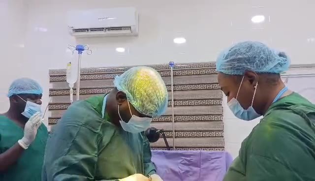 Surgical team at work in the operating theatre